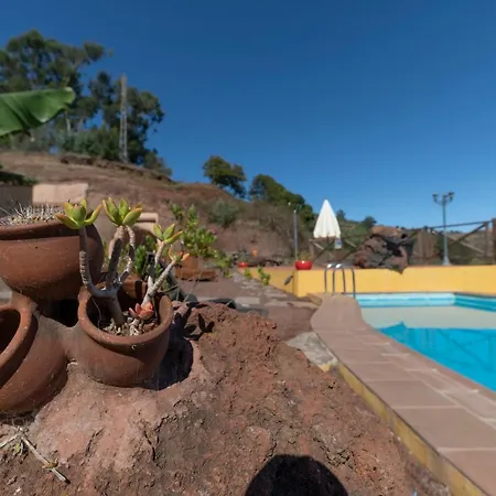 Naturacanaria - Flor De Mundo * Moya (Gran Canaria)