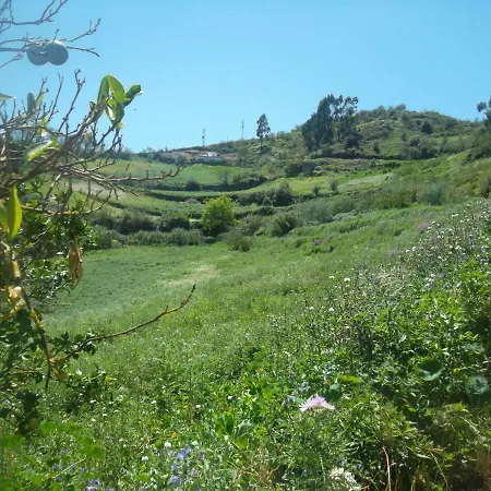 Hébergement de vacances Naturacanaria - Flor De Mundo *
